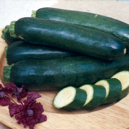 COURGETTE PARTHENON F1