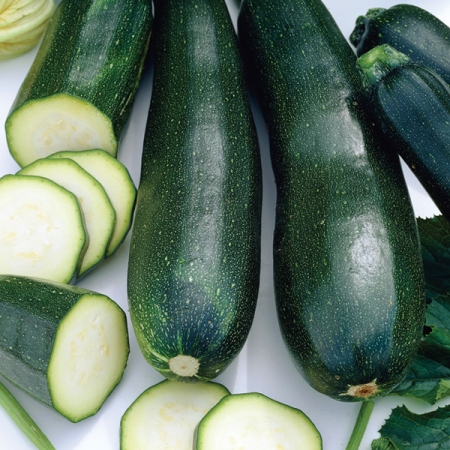 COURGETTE EL GRECO F1