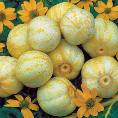 CUCUMBER CRYSTAL LEMON
