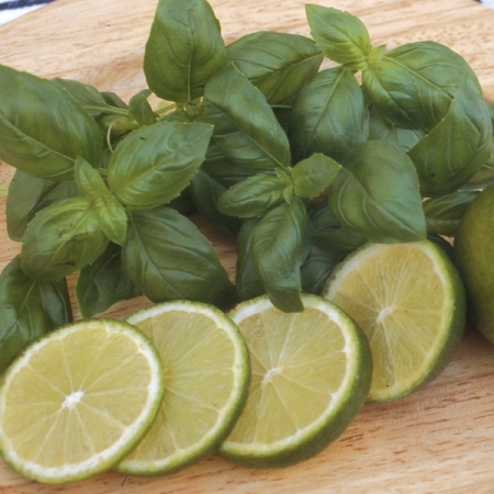 BASIL LIME