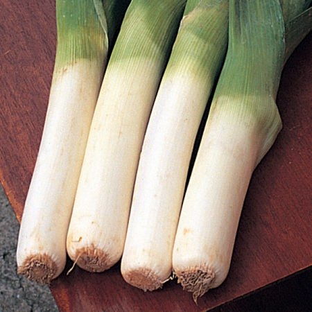 LEEK PORBELLA