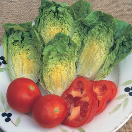 LETTUCE BUBBLES