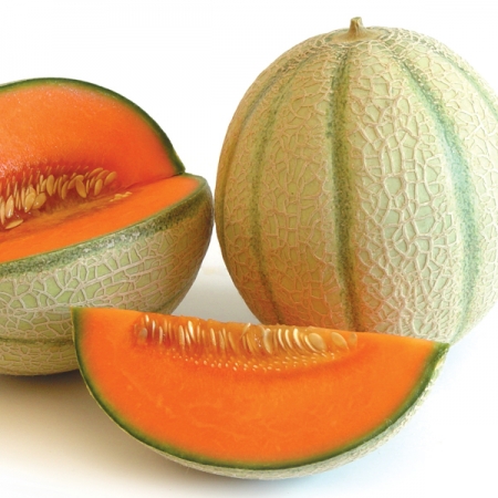 MELON CHARANTAIS MAGENTA F1