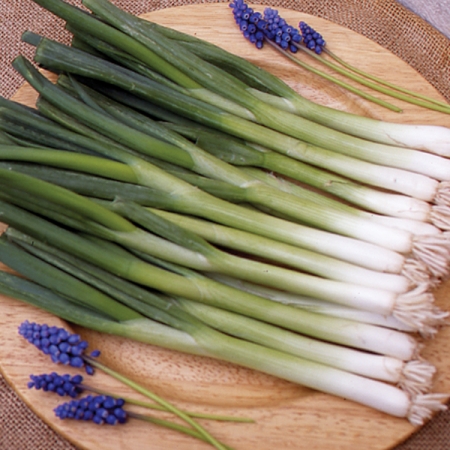 ONION GUARDSMAN SALAD
