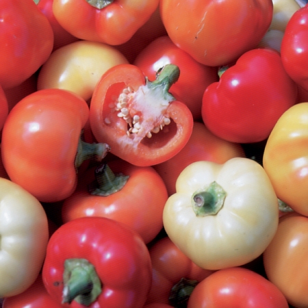 PEPPER ALMA PAPRIKA