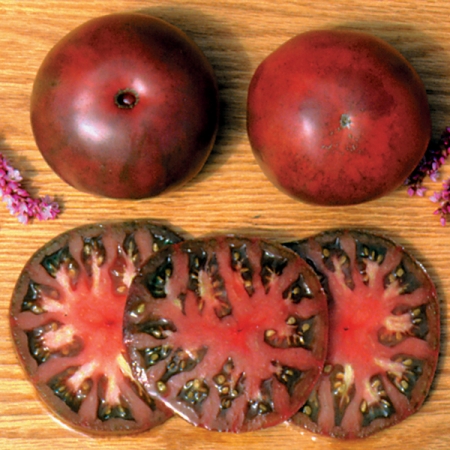 TOMATO BLACK FROM TULA
