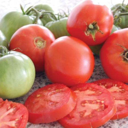 TOMATO BRANDYWINE ORIGINAL