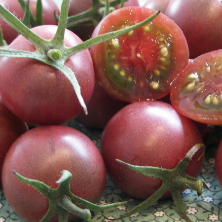 TOMATO CHOCOLATE CHERRY
