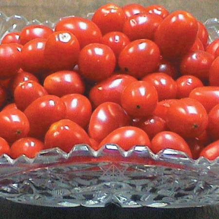 TOMATO JELLY BEAN | Sweet Cherry Tomato Seeds