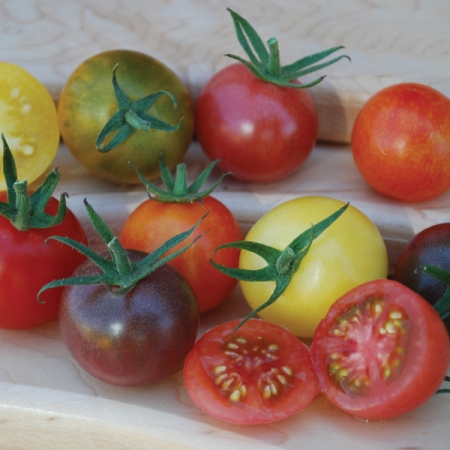 TOMATO RAINBOW CHERRY MIXED