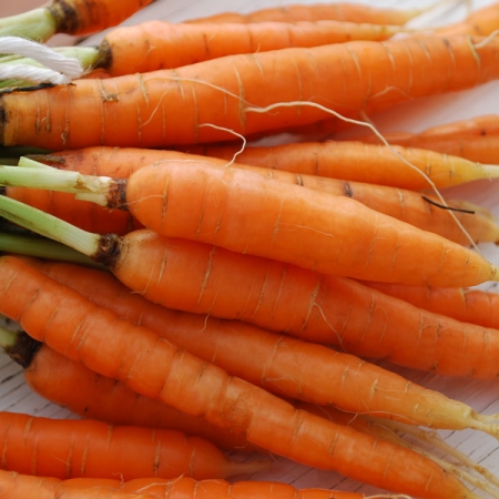 CARROT LITTLE FINGERS