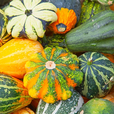 GOURDS DECORATIVE MIXED