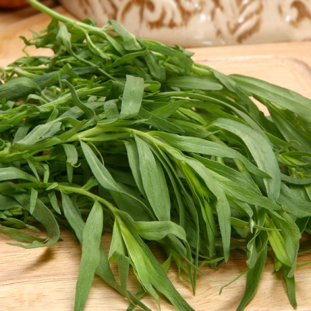 RUSSIAN TARRAGON