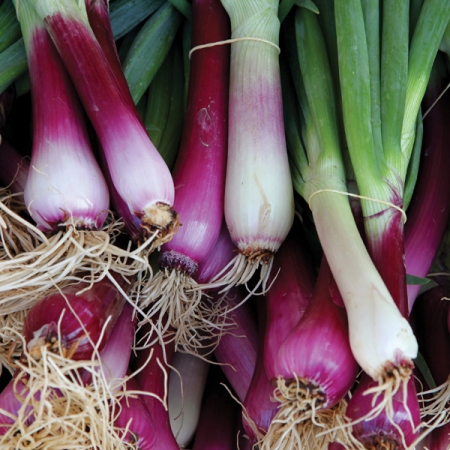 ONION APACHE SALAD