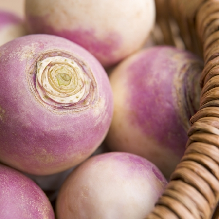TURNIP PURPLE TOP MILAN