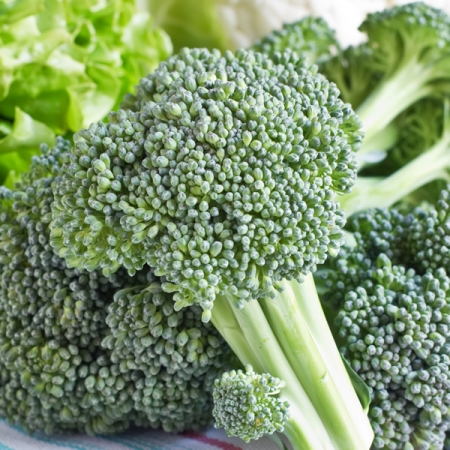 BROCCOLI BABY MATSURI F1