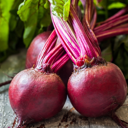 BEETROOT RED ACE F1