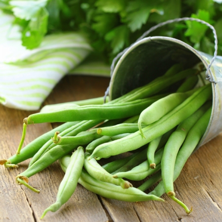 CLIMBING FRENCH BEAN COBRA