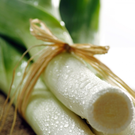 LEEK PANCHO