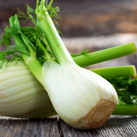 FENNEL FINALE F1
