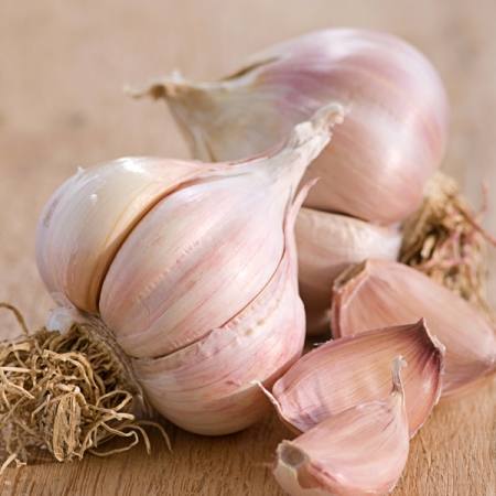 GARLIC TOCHLIAVRI