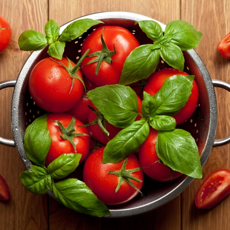 TOMATO FERLINE F1