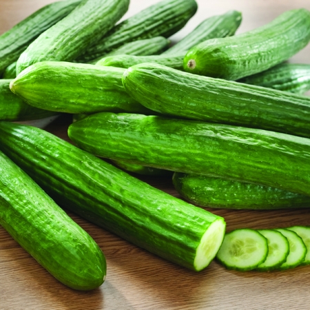 CUCUMBER CARMEN F1
