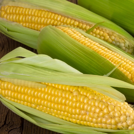 SWEET CORN GOLDEN GATE