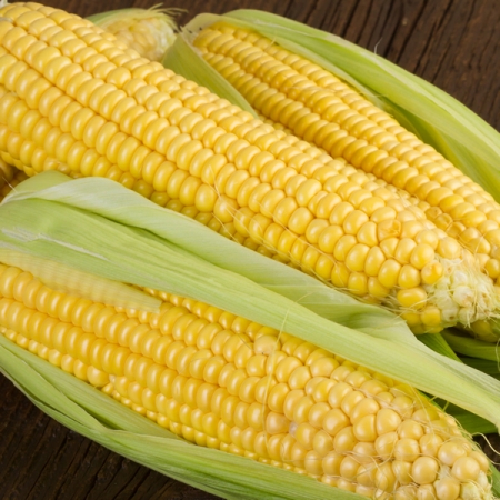 SWEET CORN GOLDEN EAGLE