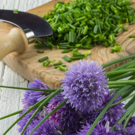 CHIVES
