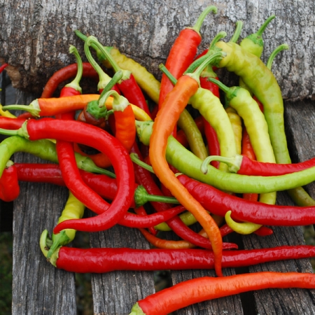 PEPPER CORBACI