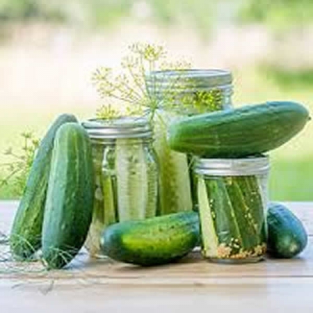 CUCUMBER GOBLIN