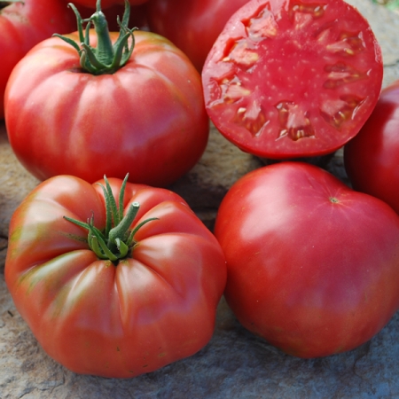 TOMATO CASPIAN PINK