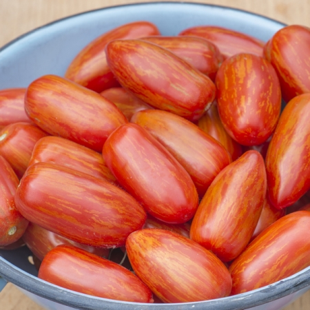 TOMATO SWEET CASADAY