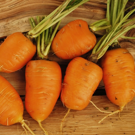 CARROT OXHEART