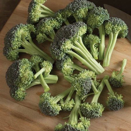 BROCCOLI MONFLOR F1