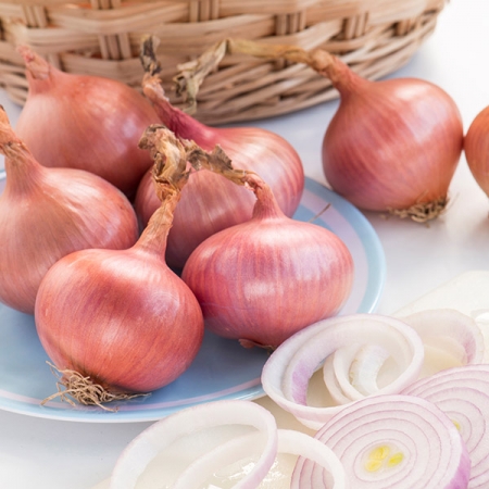 ONION ISOBEL ROSE
