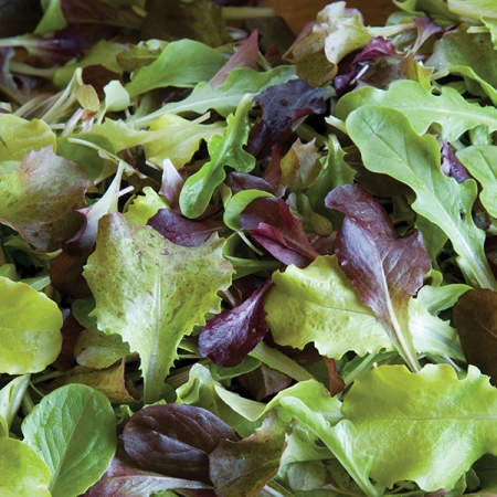 LETTUCE ALL STAR GOURMET SALAD LEAVES