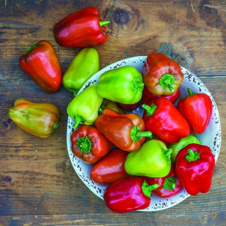 PEPPER SWEET CONFETTI