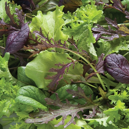 CHINESE GREENS PREMIUM MIXED