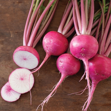 TURNIP HIROSAKI RED