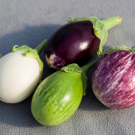 AUBERGINE MINI MIXED GRILL