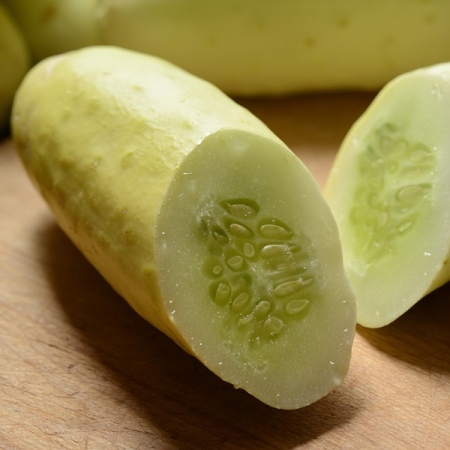 CUCUMBER MARTINI F1