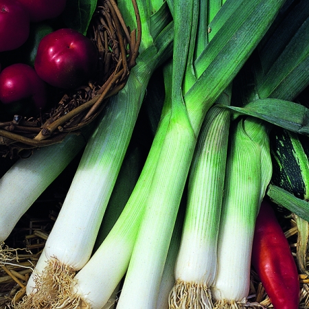 LEEK JOLANT F1