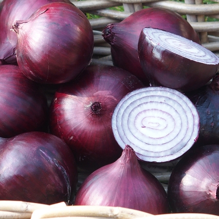 ONION MAGNATE F1