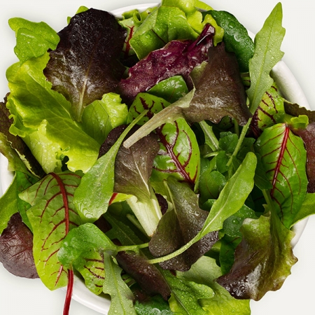 SALAD BABY LEAF PROVENCE II