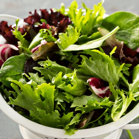 SALAD TUSCANY II BABY LEAVES