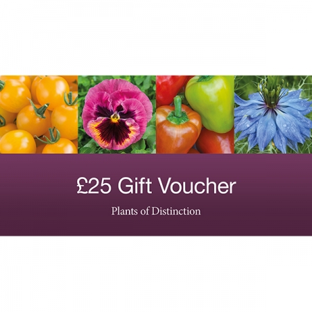 GIFT VOUCHER TWENTY FIVE POUNDS