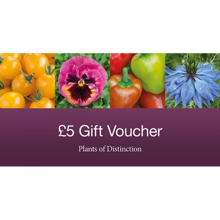 GIFT VOUCHER FIVE POUNDS
