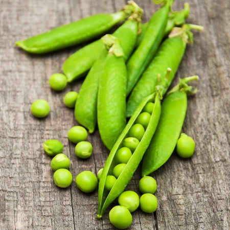 PEA METEOR